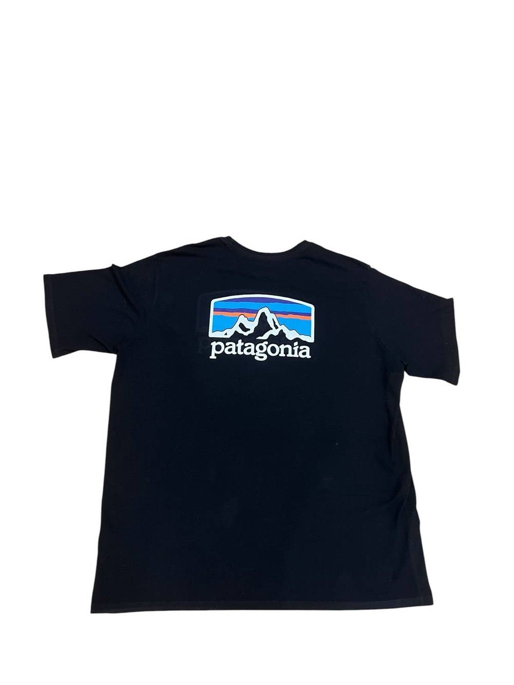 Patagonia Black T-Shirt with Multicolor Mountain Logo